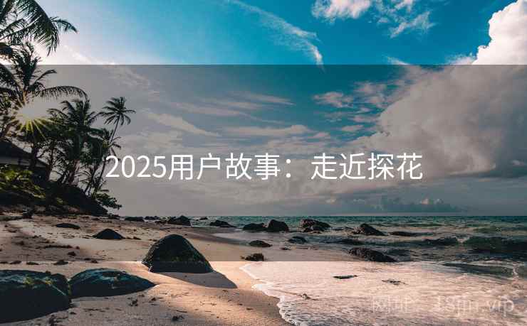 2025用户故事：走近探花