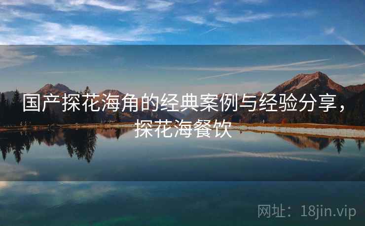 国产探花海角的经典案例与经验分享，探花海餐饮