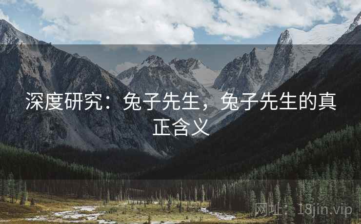 深度研究：兔子先生，兔子先生的真正含义