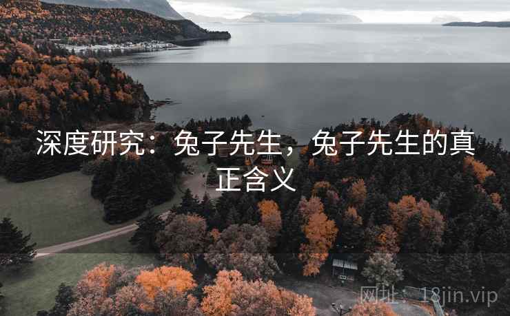 深度研究：兔子先生，兔子先生的真正含义