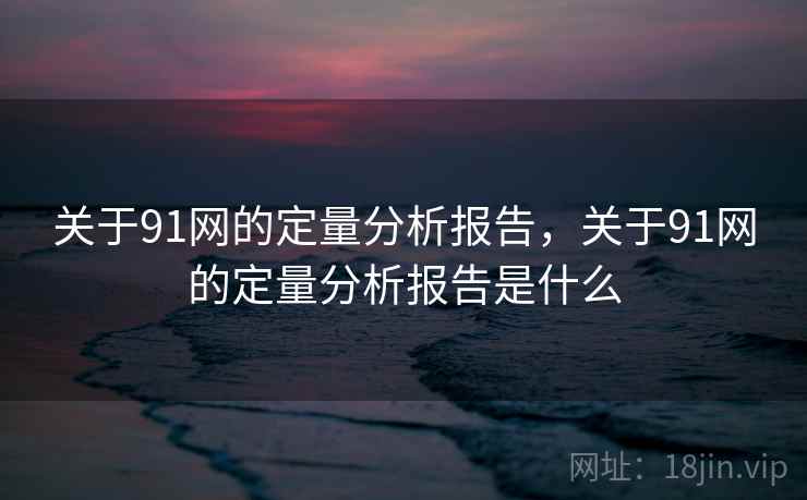 关于91网的定量分析报告，关于91网的定量分析报告是什么