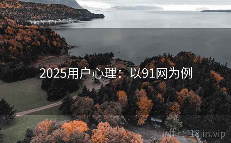 2025用户心理：以91网为例