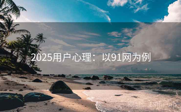 2025用户心理：以91网为例