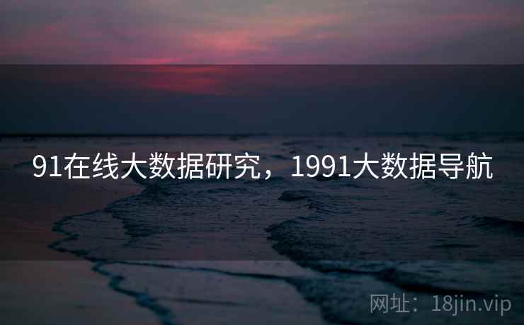 91在线大数据研究，1991大数据导航