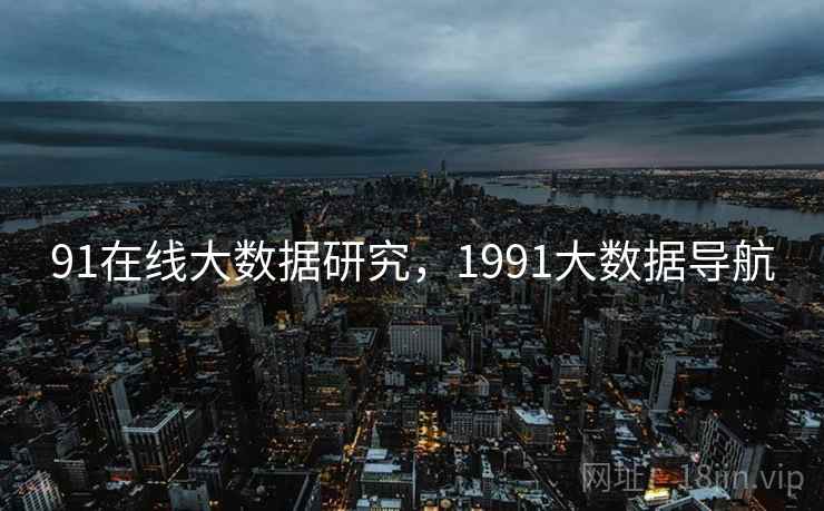 91在线大数据研究，1991大数据导航