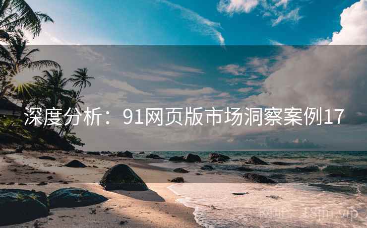 深度分析：91网页版市场洞察案例17