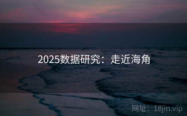 2025数据研究：走近海角
